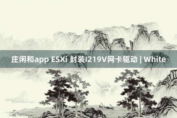 庄闲和app ESXi 封装I219V网卡驱动 | White