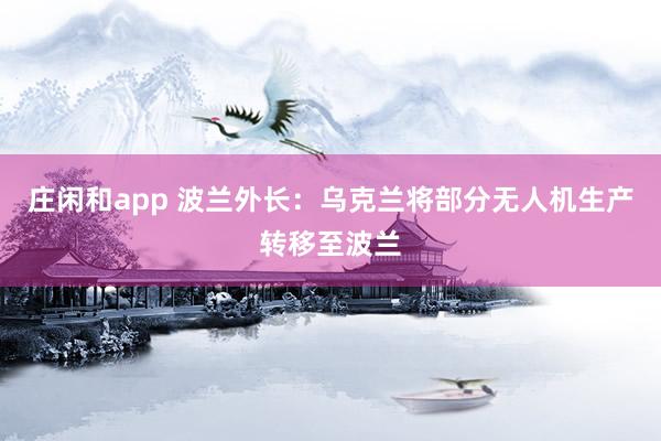 庄闲和app 波兰外长：乌克兰将部分无人机生产转移至波兰