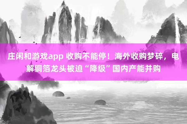 庄闲和游戏app 收购不能停！海外收购梦碎，电解铜箔龙头被迫“降级”国内产能并购
