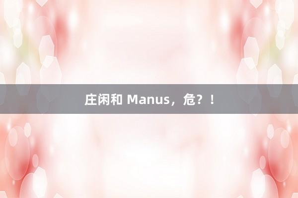 庄闲和 Manus，危？！