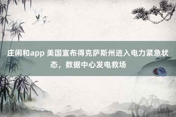 庄闲和app 美国宣布得克萨斯州进入电力紧急状态,数据中心发电救场