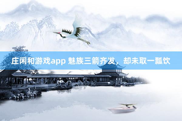 庄闲和游戏app 魅族三箭齐发，却未取一瓢饮