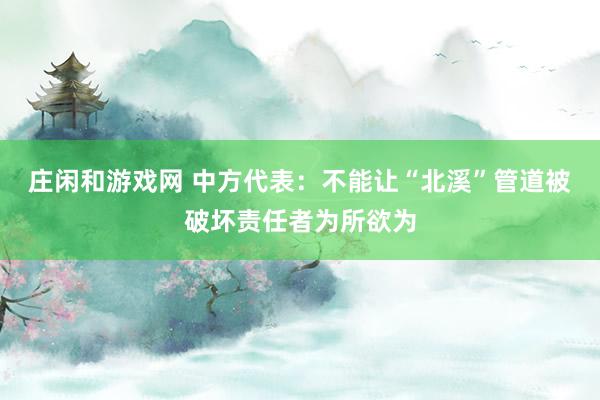 庄闲和游戏网 中方代表：不能让“北溪”管道被破坏责任者为所欲为