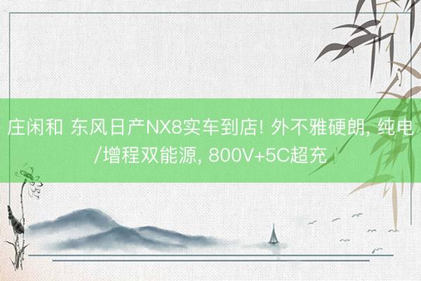 庄闲和 东风日产NX8实车到店! 外不雅硬朗， 纯电/增程双能源， 800V+5C超充